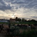 홍우농장 이미지