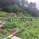 회성동240 이미지