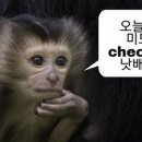 월도1 이미지