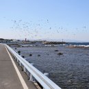 새파랑관광펜션 이미지