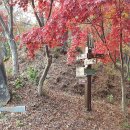 부여(임천)-11 이미지