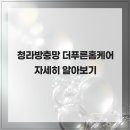 더 푸른 이미지