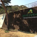 용봉산산림전시관 네이버블로그