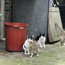 목천고등학교 이미지