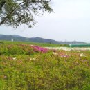 문막체육공원길 이미지