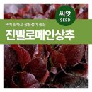 플랜트 이미지