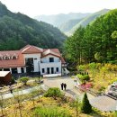 좌구산자연휴양림 이미지