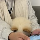 금빵주인