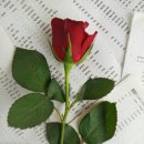 우주를 향한 꿈 이미지