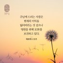 요한복음 13:21 – 13:30 배신자를 향한 사랑과 배려 이미지