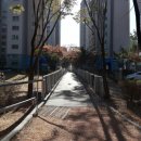 섬진강변 철쭉길 | 섬진강변 철쭉길을 걸으며 느낀 감동