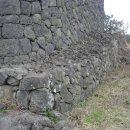 우지연대 이미지