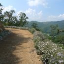 두메영농조합법인 이미지