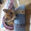 경화주유소 이미지