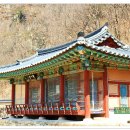 서원34호 Daum카페