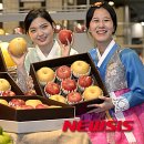 과일산다 뉴시스