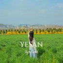 청보리목장 | 당진 봄에 가볼만한곳 예산 아그로랜드 태신목장 맛집 여행 후기