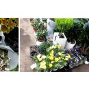 김치게스트하우스해운대 이미지