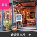 동부-11 이미지