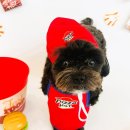 하률로12번길 이미지