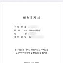 페르비데오