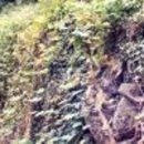 태흥1리 이미지