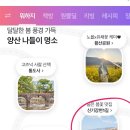 신기1길 이미지