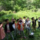 월문초등학교(병설) 이미지