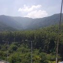 2016년 7월 9일 토요일 달비골~평안동산~앞산 산행 후기입니다. 이미지