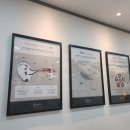 벨톤보청기 이천지사 이미지