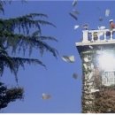 계명대학교 대명캠퍼스 이미지