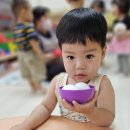 풀잎계란 Daum카페