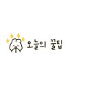 돼집 이미지