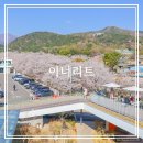 울산 언양 작천정 이너리트 벚꽃뷰 베이커리 대형카페 내돈내산 후기