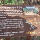 평동초등학교 이미지