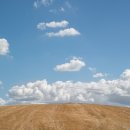 양포초등학교 병설유치원 이미지