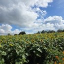 연천호로고루 이미지