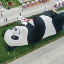 휴대폰으로 찍는 예술 사진 이미지