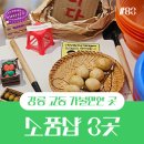 강릉 핫플 교동 소품샵 추천