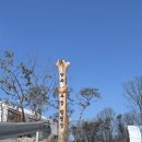 지지 게임존 | [양주 구암캠핑장] 경기도 신생캠핑장 추천 A6 타프존 후기