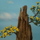 유림공원 이미지