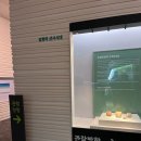 강화역사박물관 이미지