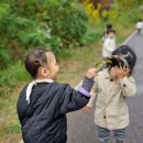 동글 동글 단추가 좋아요🌼 이미지