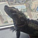 신세계 허남준 닲은 우리집 두식이 이미지