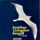 갈매기의 꿈 이미지