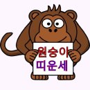 ★오늘의 운세★ 3월 5일 화요일 이미지