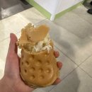 타임월드크록스 | 크록스빵 클로기 후기 갤러리아타임월드 팝업에서 먹었는데 짱맛!