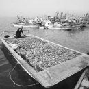 해돋이마을 이미지