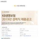 [KB생명보험(주)] 2019년 경력직 채용공고(~3/27) 이미지