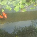 연세수목화치과의원 이미지